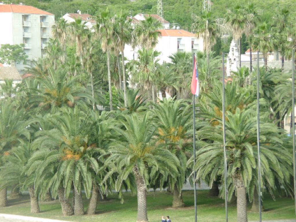 וויס Apartments Rak מראה חיצוני תמונה
